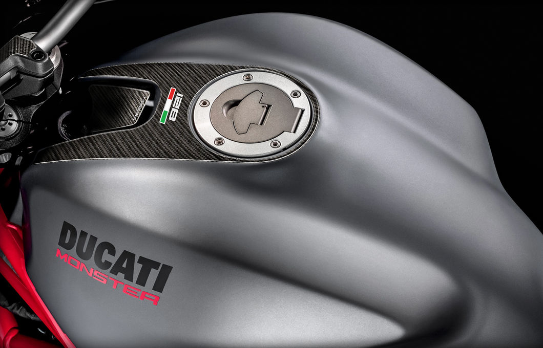 FIT 2015-2019 DUCATI MONSTER 821 YOKE PROTECTOR - Onedesign Corp